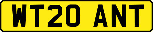 WT20ANT