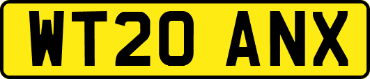 WT20ANX