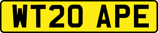 WT20APE