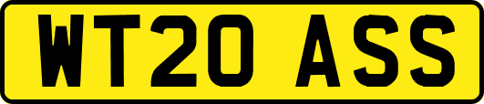 WT20ASS