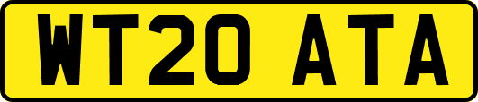 WT20ATA