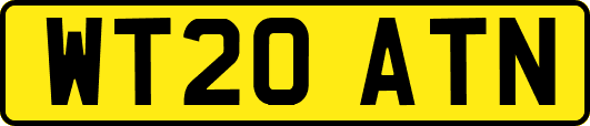 WT20ATN