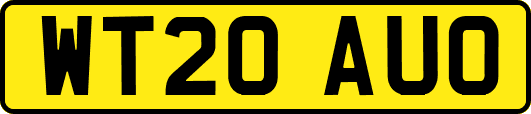 WT20AUO