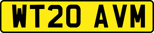 WT20AVM