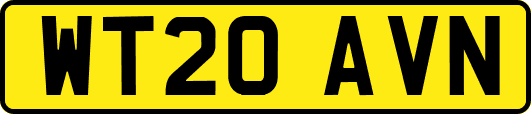 WT20AVN