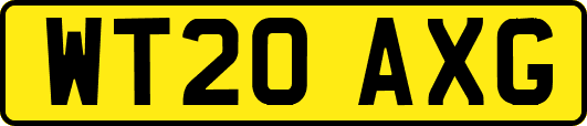 WT20AXG