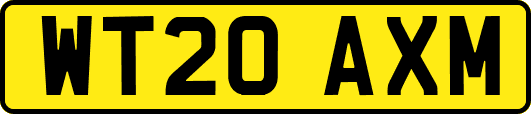WT20AXM