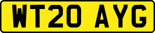 WT20AYG