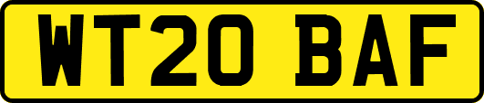 WT20BAF