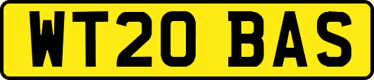WT20BAS