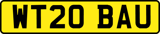 WT20BAU