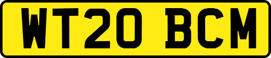 WT20BCM
