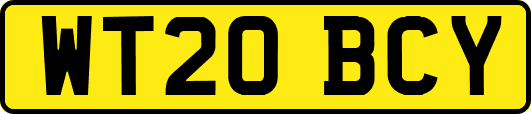 WT20BCY