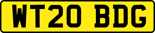 WT20BDG