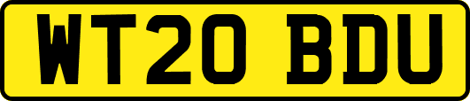 WT20BDU
