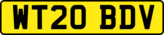 WT20BDV