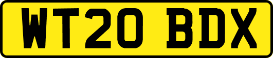 WT20BDX