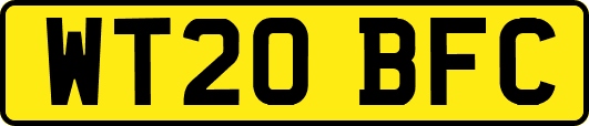WT20BFC