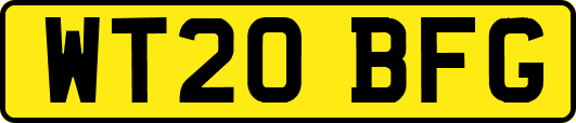 WT20BFG