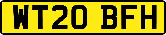 WT20BFH