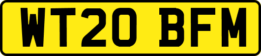 WT20BFM