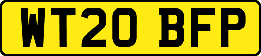 WT20BFP