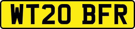WT20BFR