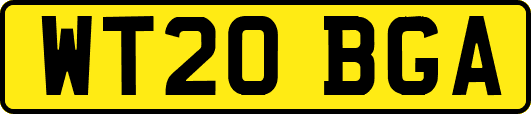 WT20BGA