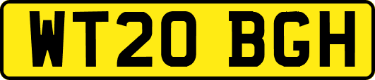 WT20BGH