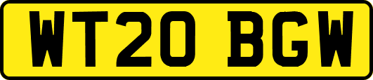 WT20BGW
