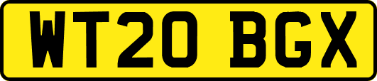 WT20BGX