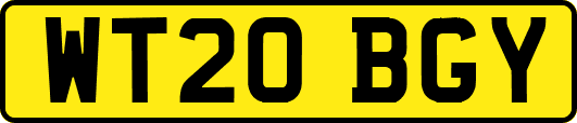WT20BGY
