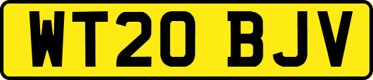 WT20BJV