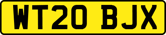 WT20BJX