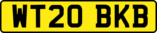 WT20BKB