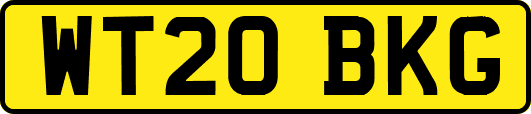 WT20BKG