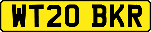 WT20BKR