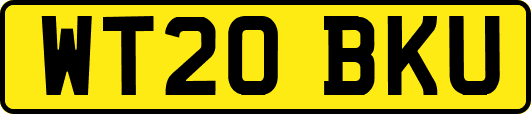 WT20BKU