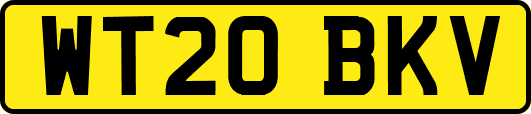 WT20BKV