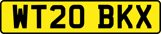 WT20BKX