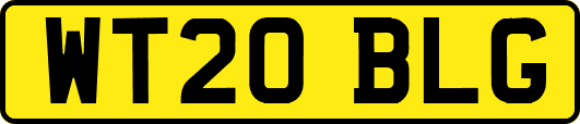 WT20BLG