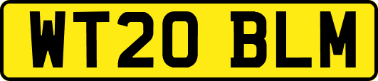 WT20BLM