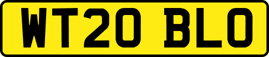 WT20BLO