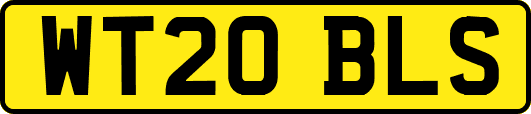WT20BLS