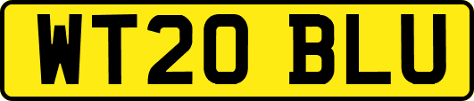 WT20BLU