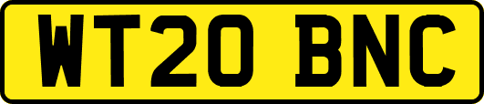 WT20BNC