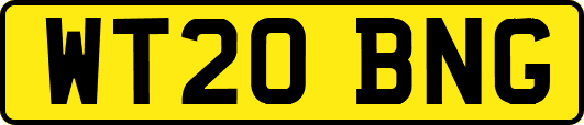 WT20BNG