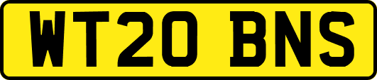 WT20BNS