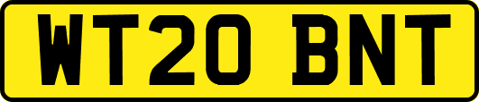 WT20BNT