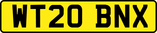 WT20BNX